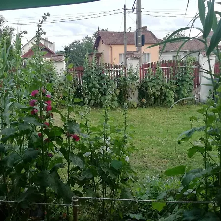 Guest house Leone Cluj-Napoca